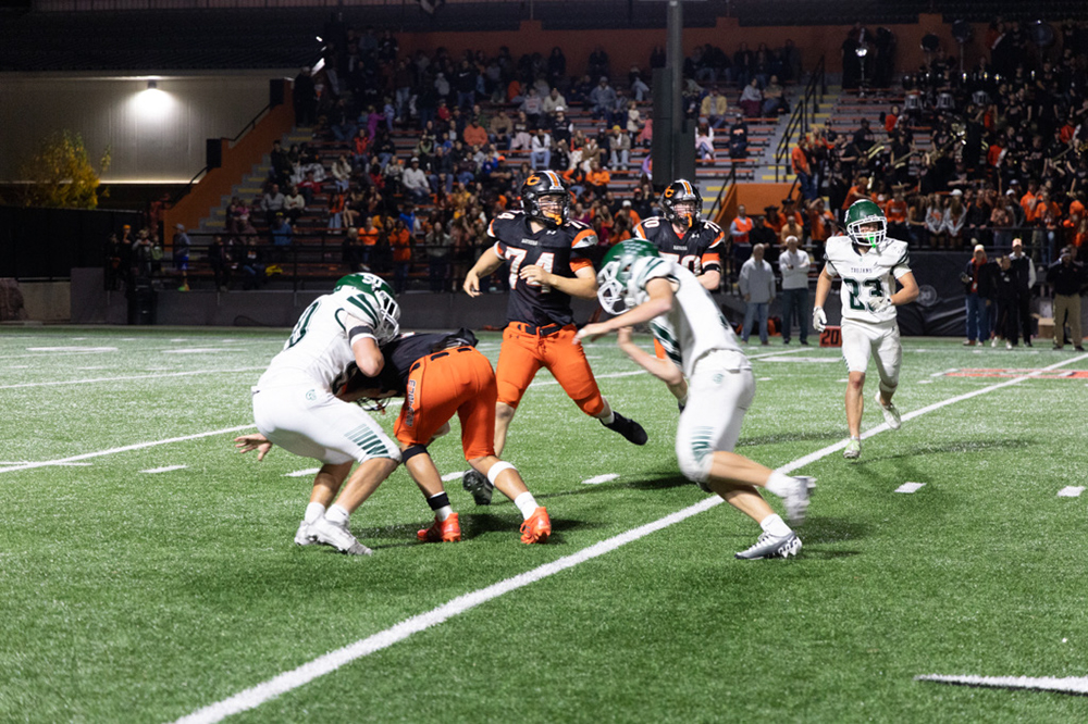 %_tempFileName1V7A1318%