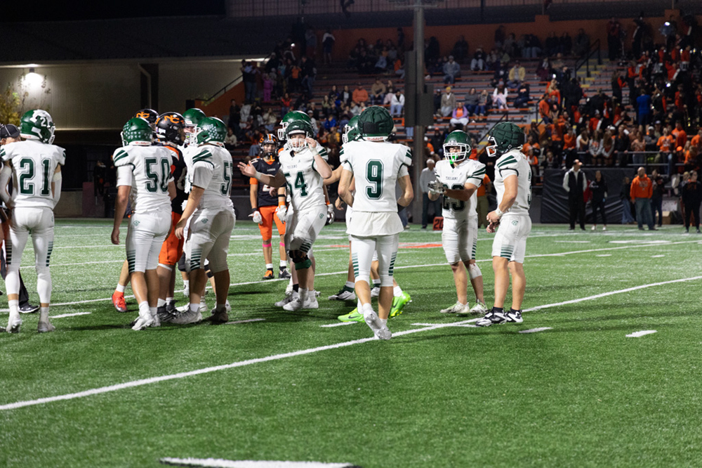 %_tempFileName1V7A1366%