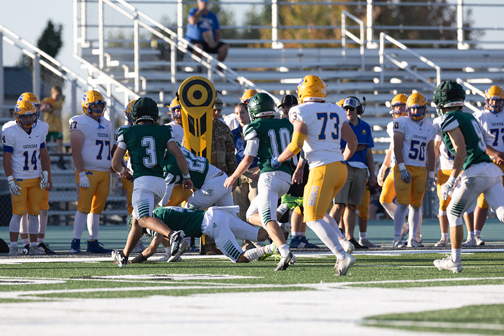 %_tempFileName1M6A3190%