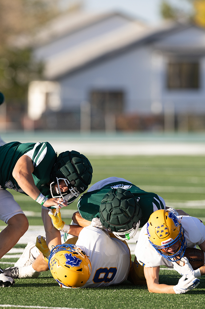 %_tempFileName1M6A3199%