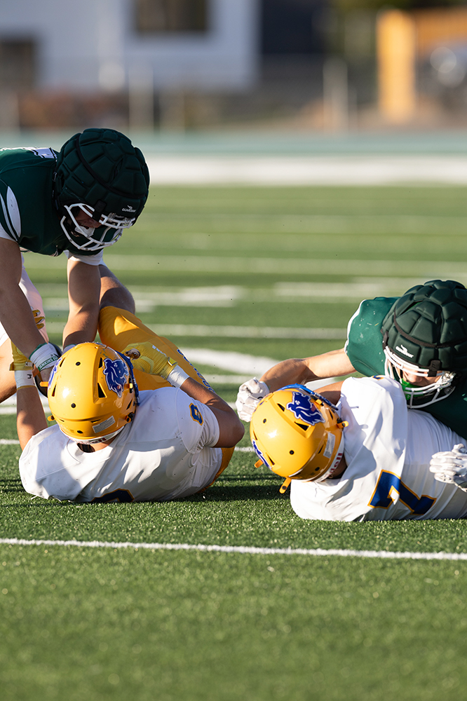 %_tempFileName1M6A3206%