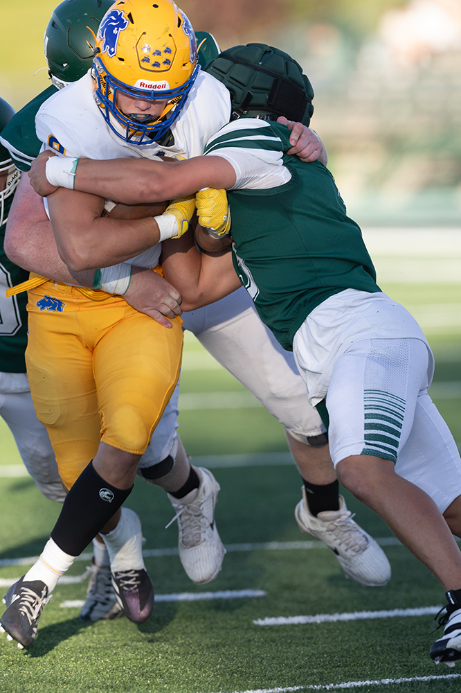 %_tempFileName1M6A3293%