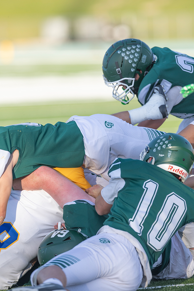 %_tempFileName1M6A3313%