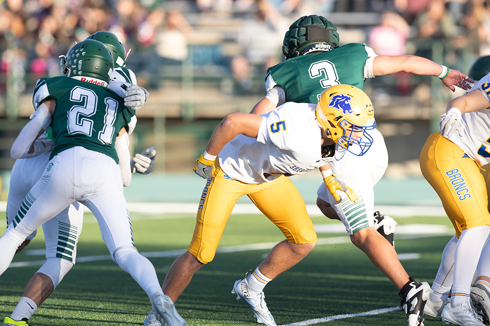 %_tempFileName1M6A3314%