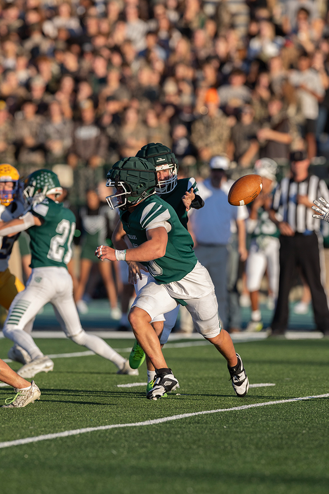 %_tempFileName1M6A3425%