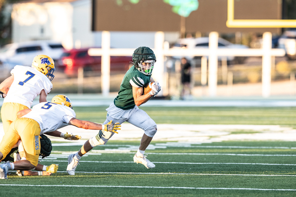 %_tempFileName1M6A4313%