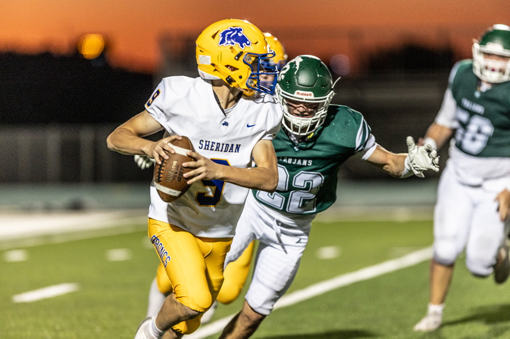 %_tempFileName1M6A6113%