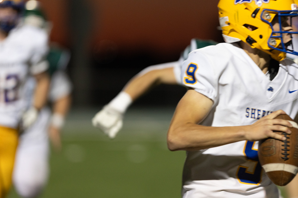 %_tempFileName1M6A6130%