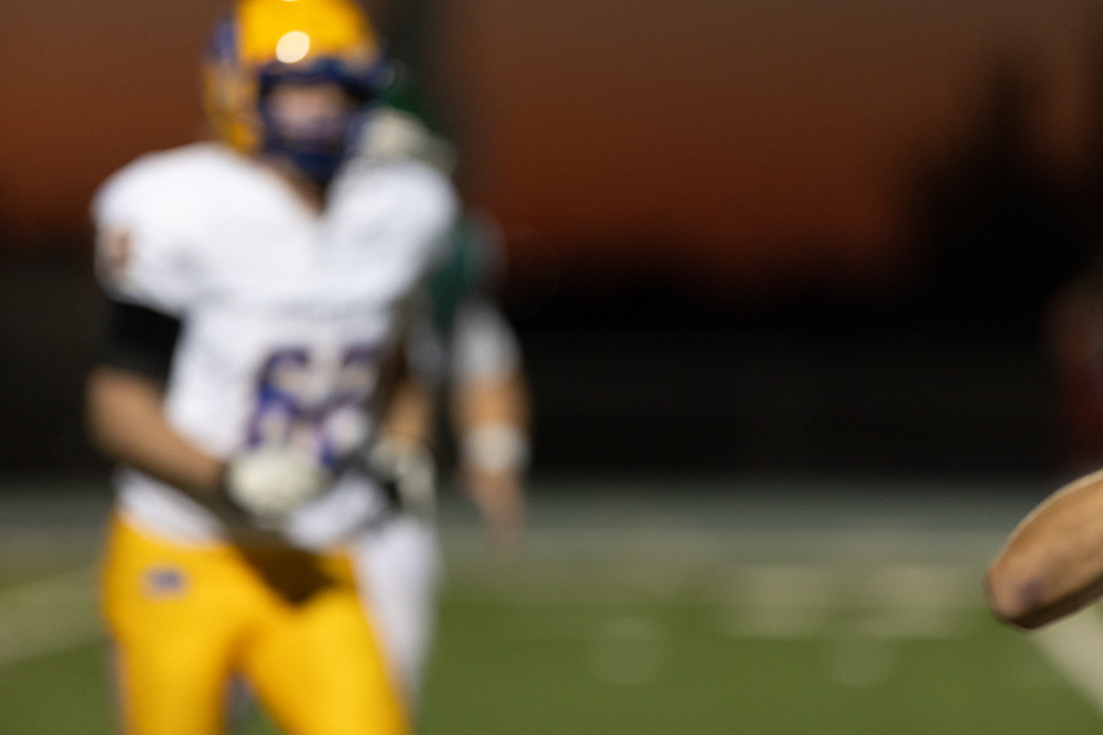 %_tempFileName1M6A6132%