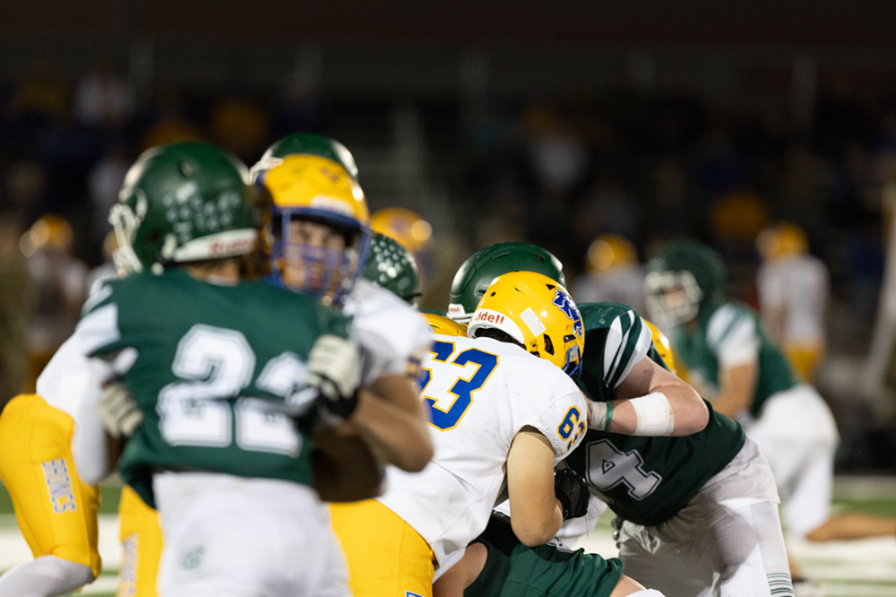 %_tempFileName1M6A6350%