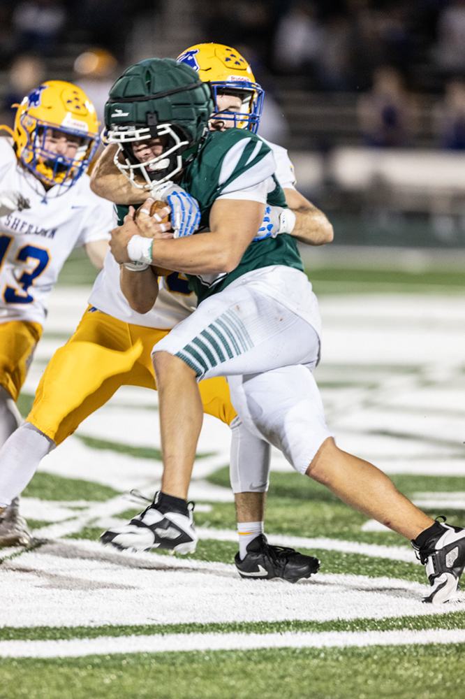 %_tempFileName1M6A6544%