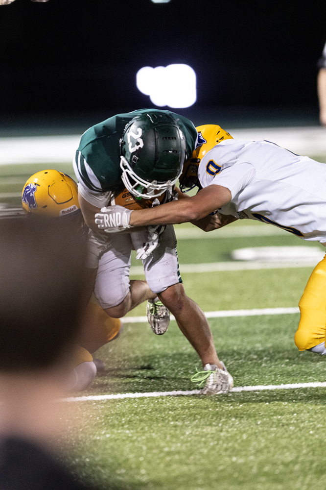 %_tempFileName1M6A6917%