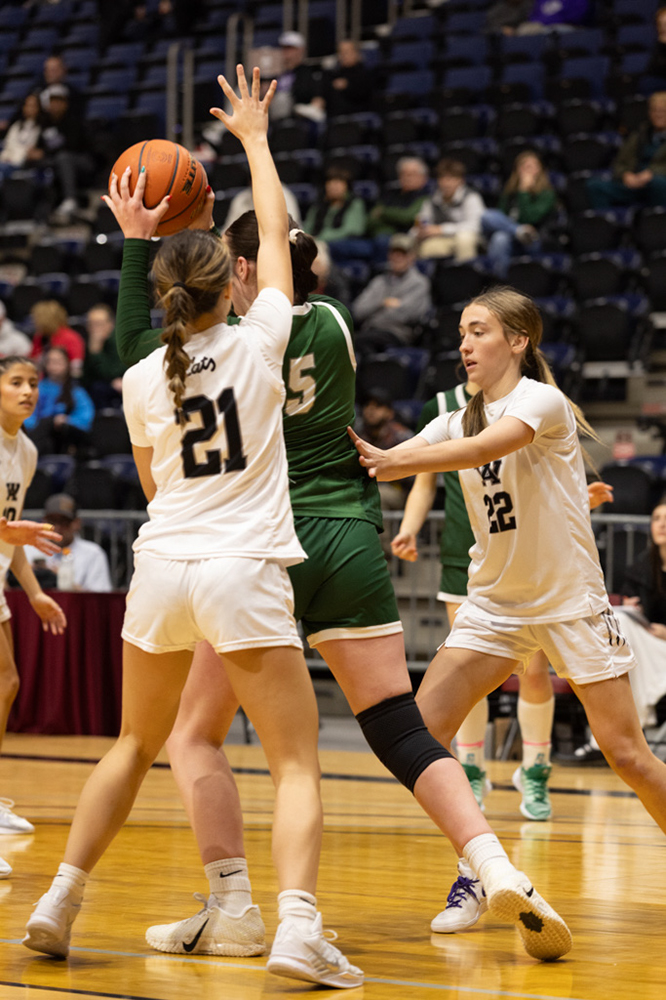 %_tempFileName1M6A1335%