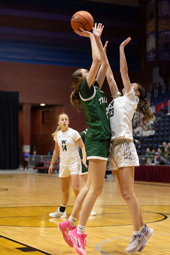 %_tempFileName1M6A1494%