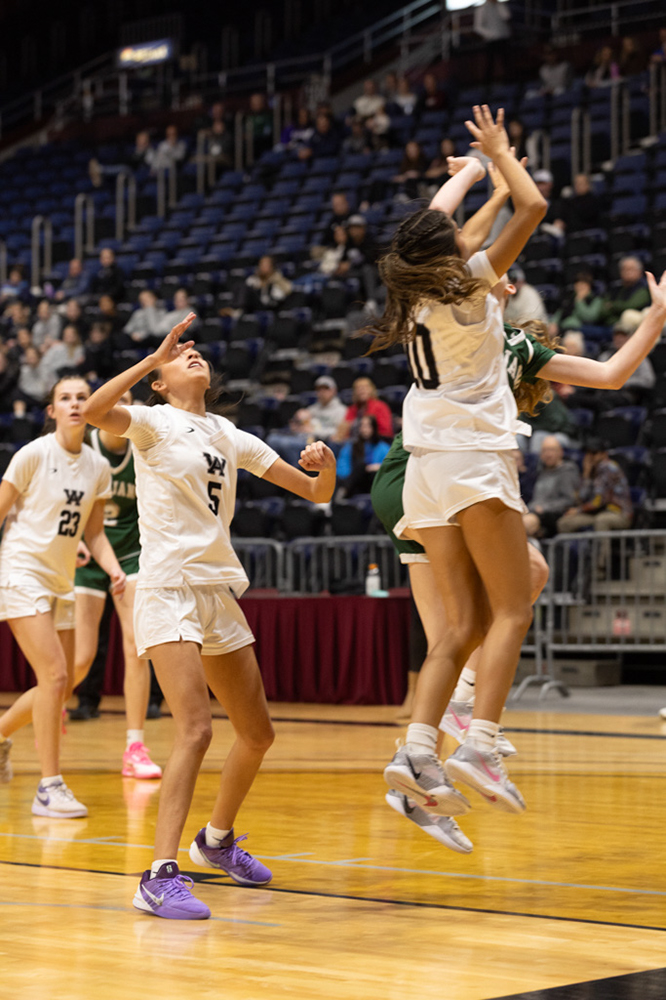 %_tempFileName1M6A1511%