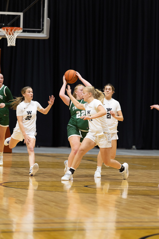 %_tempFileName1M6A1584%