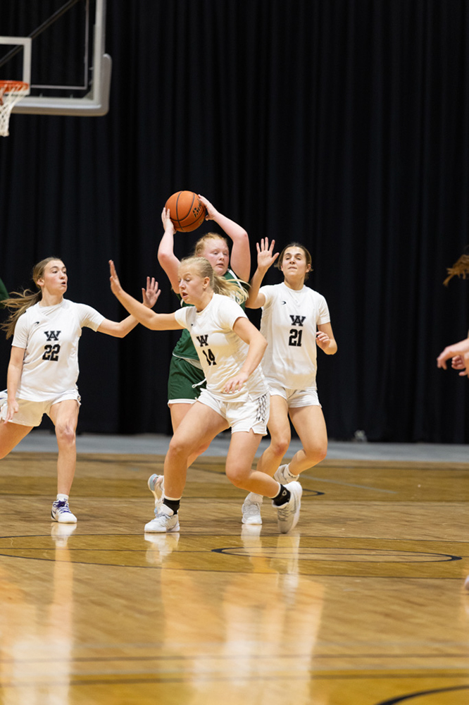 %_tempFileName1M6A1585%