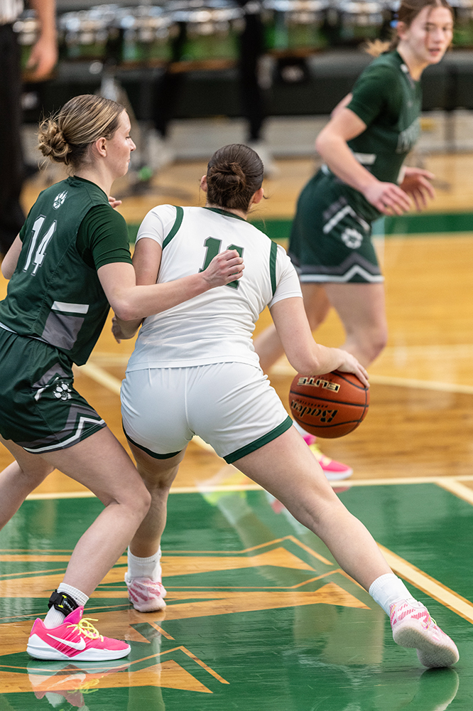 %_tempFileName1M6A3915%