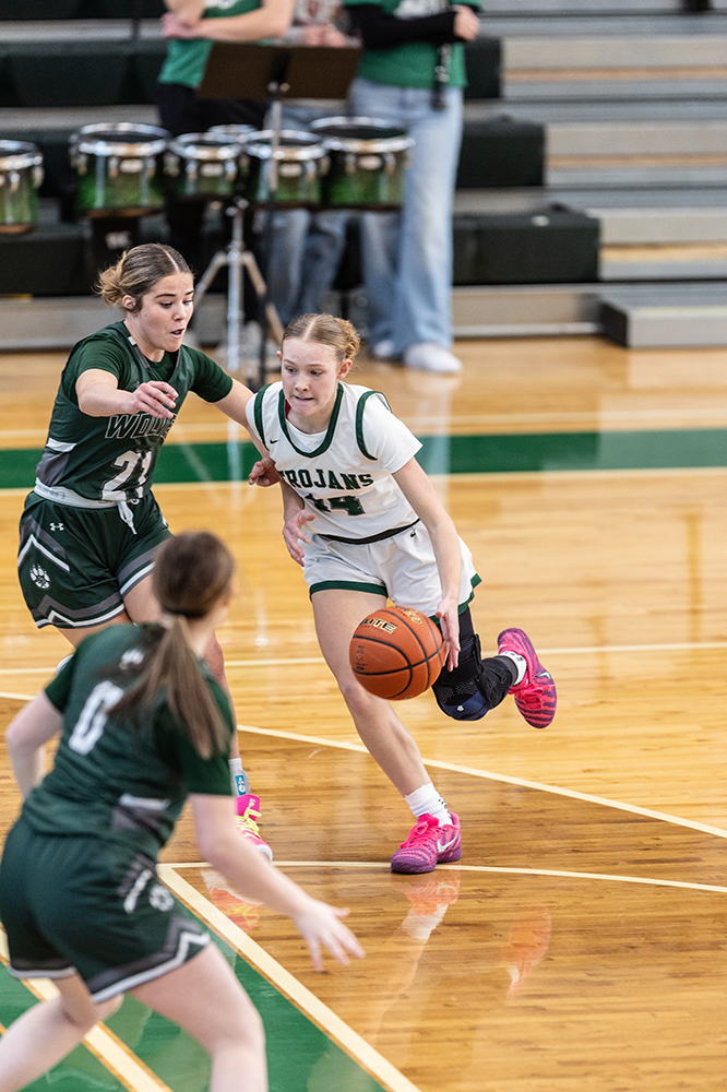 %_tempFileName1M6A4048%