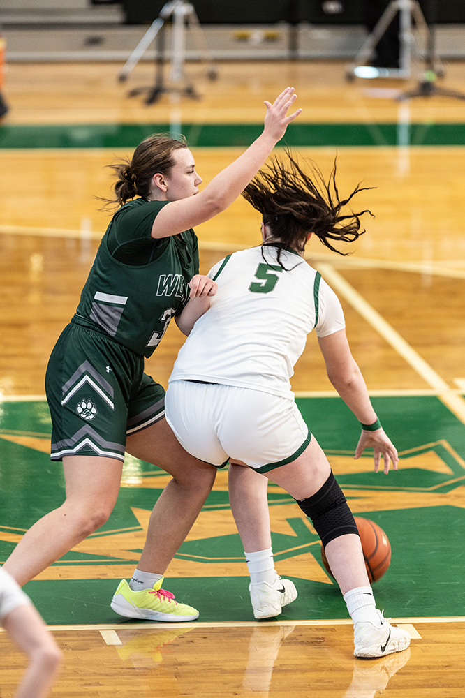 %_tempFileName1M6A4063%