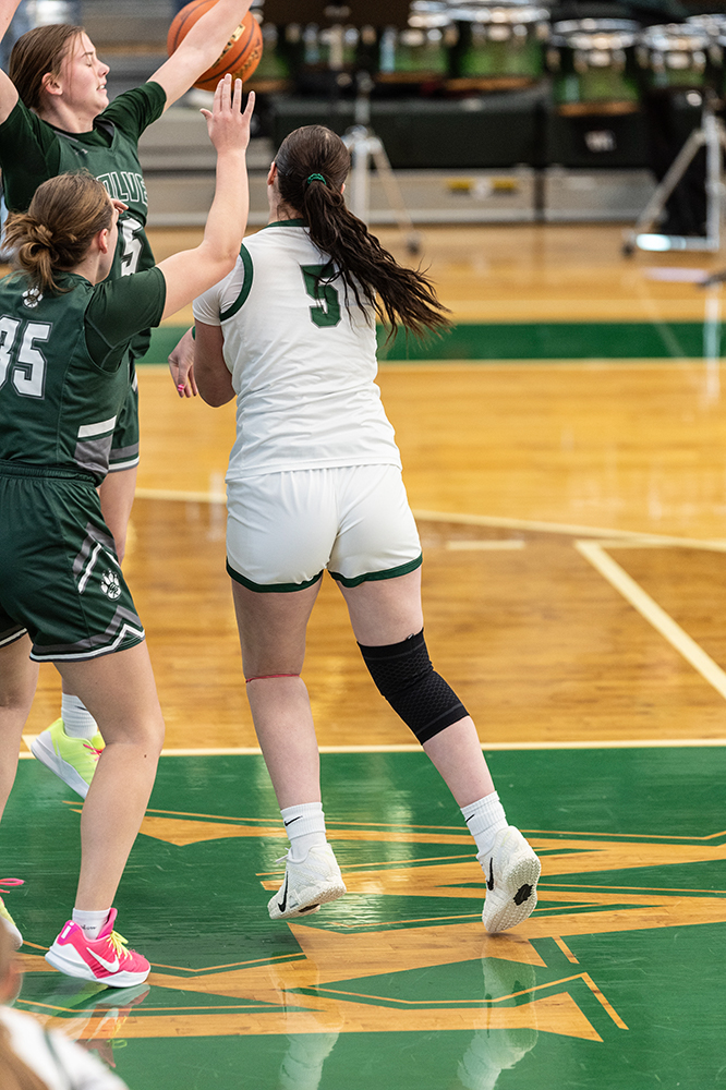 %_tempFileName1M6A4074%