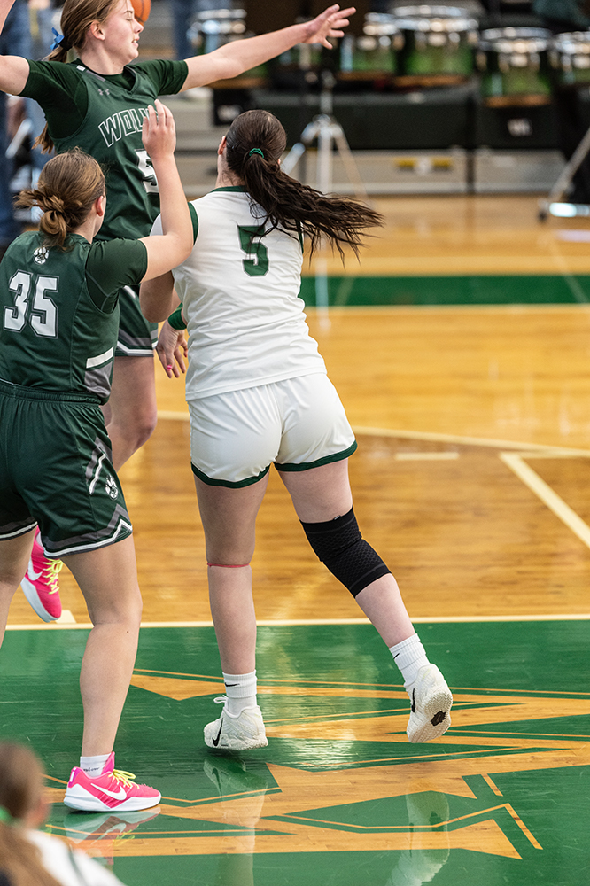 %_tempFileName1M6A4075%