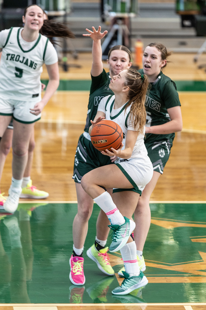 %_tempFileName1M6A4115%