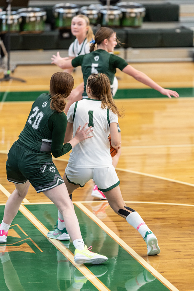 %_tempFileName1M6A4313%