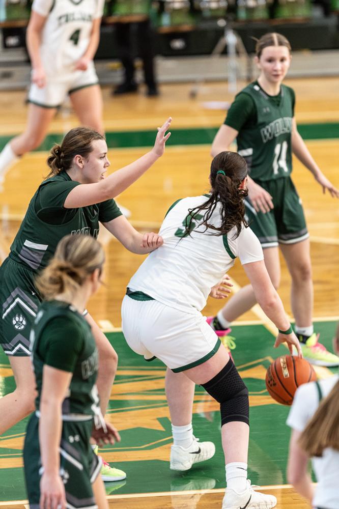 %_tempFileName1M6A4501%