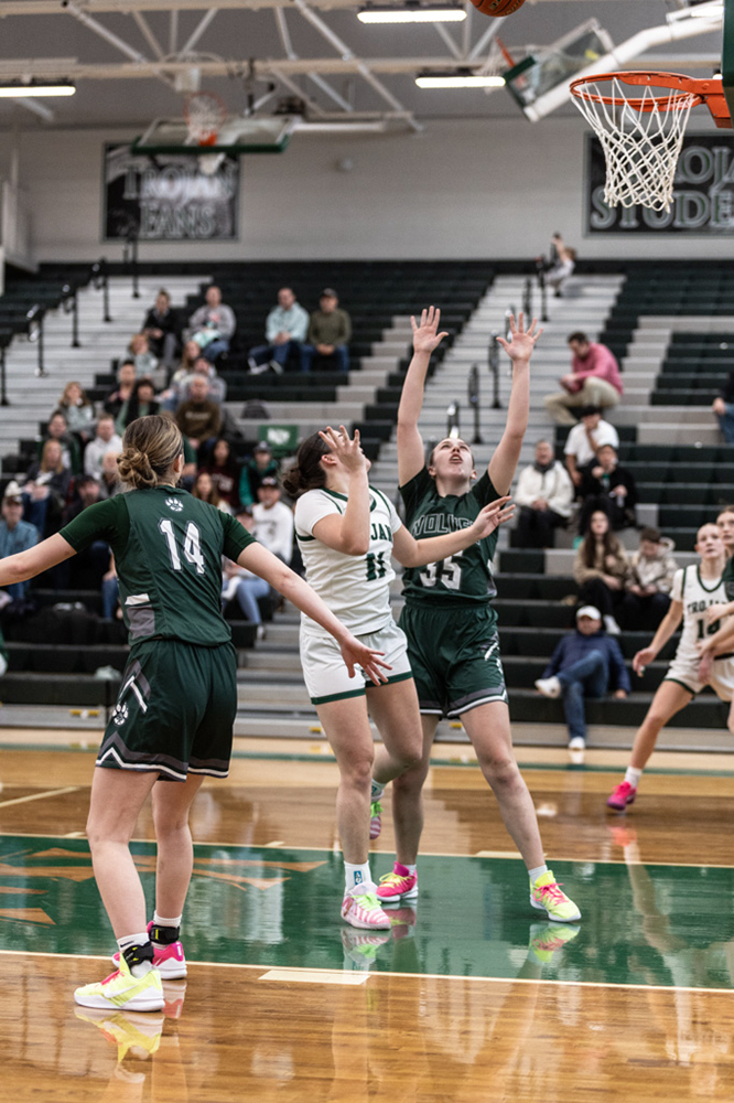 %_tempFileName1M6A4990%