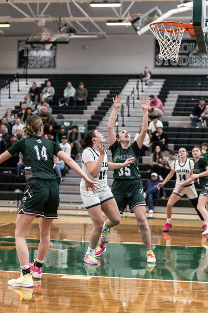 %_tempFileName1M6A4991%