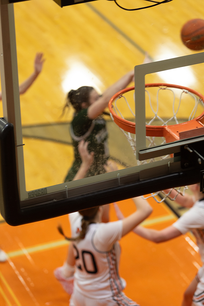 %_tempFileName1M6A0029%