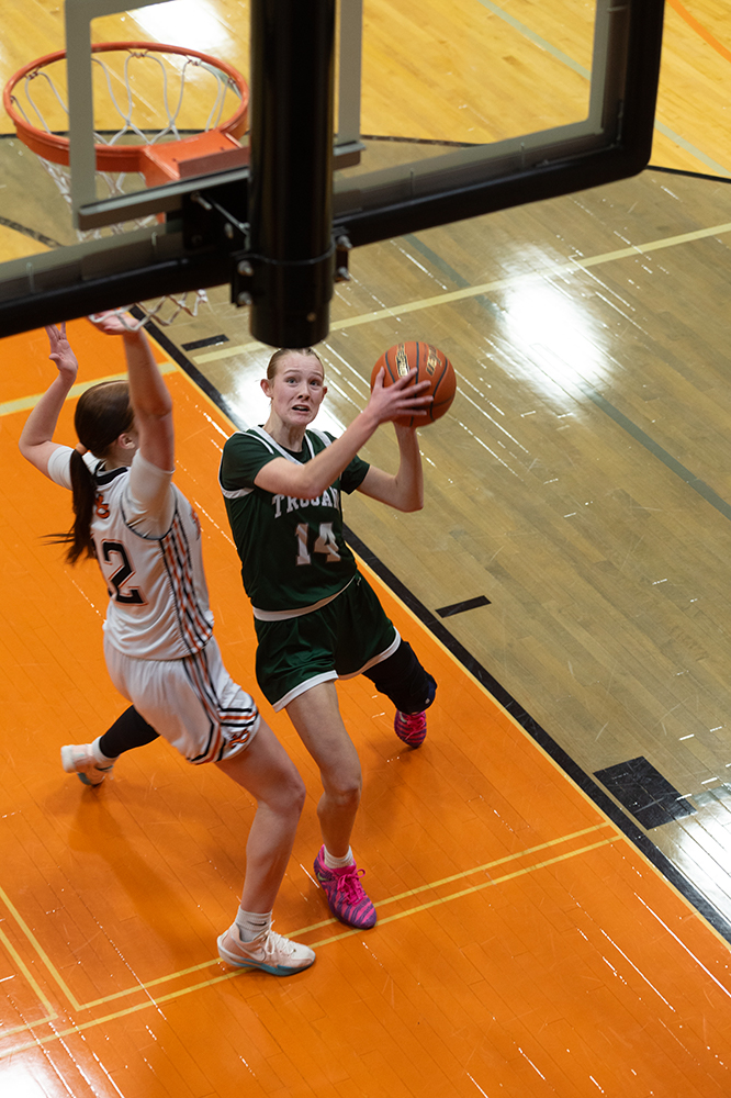 %_tempFileName1M6A0178%