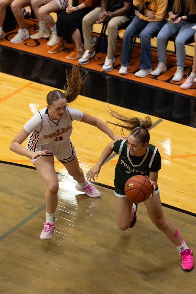 %_tempFileName1M6A0419%