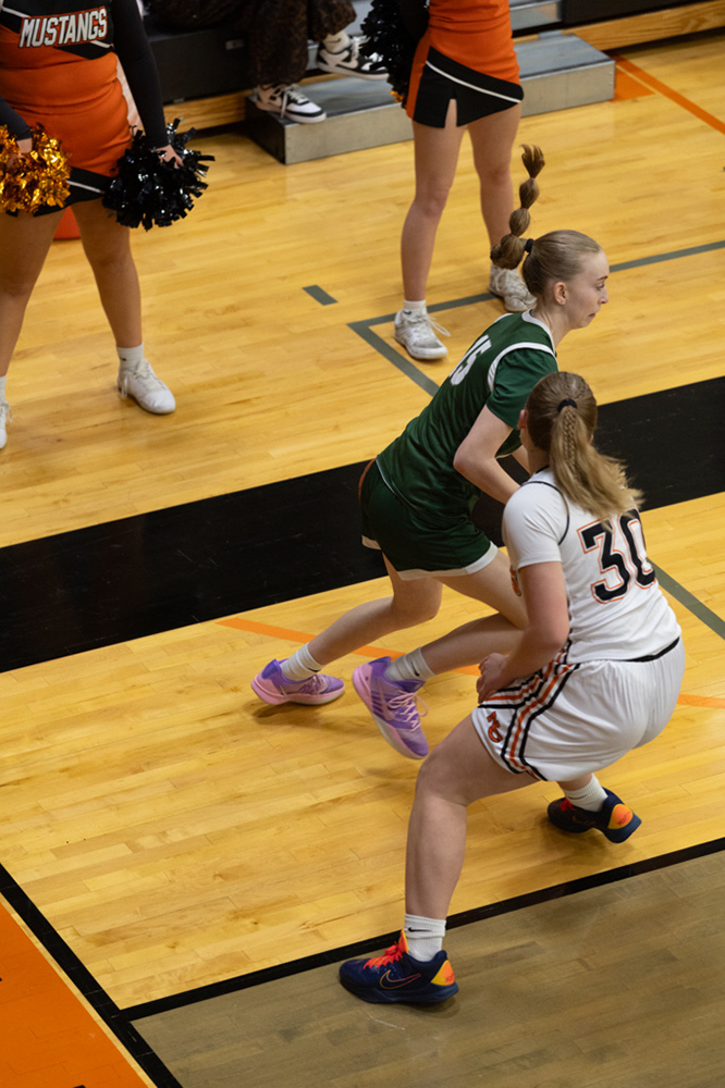 %_tempFileName1M6A0443%