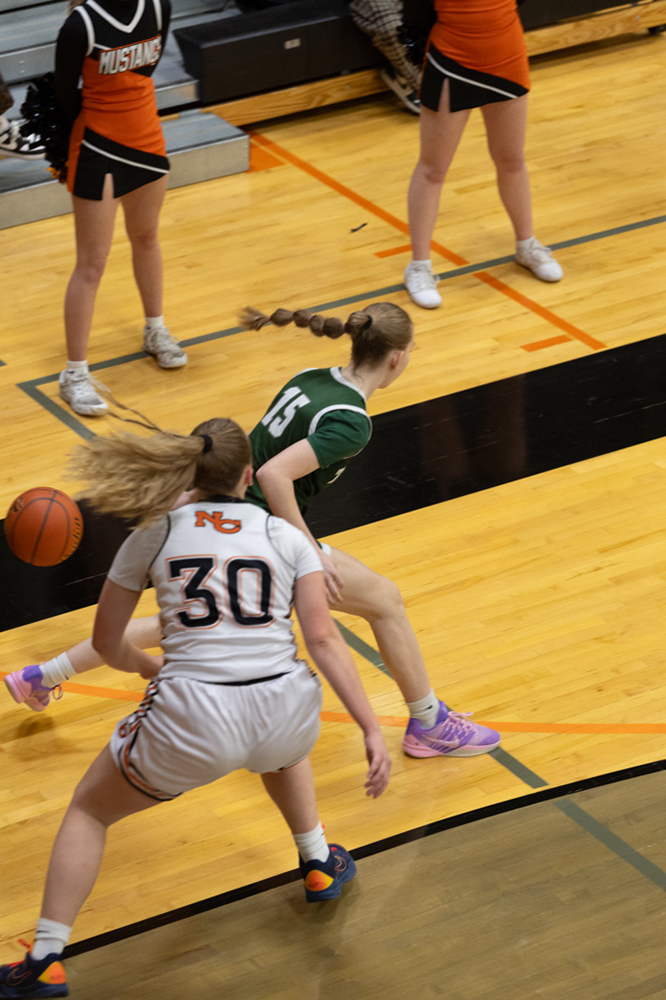 %_tempFileName1M6A0446%