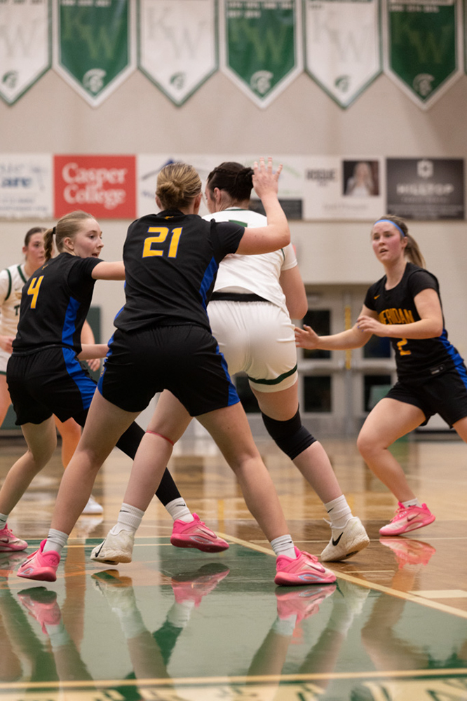 %_tempFileName1M6A5235%