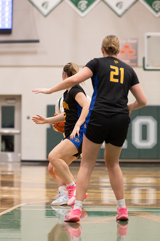 %_tempFileName1M6A5260%