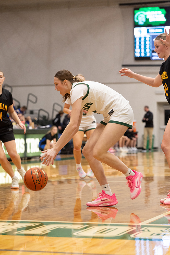 %_tempFileName1M6A5282%