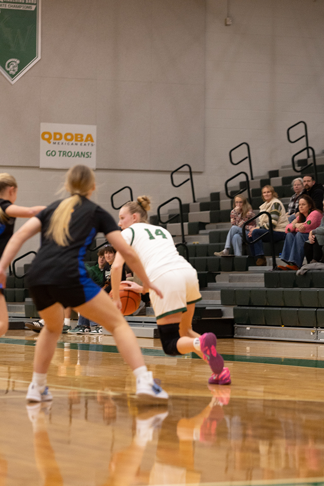 %_tempFileName1M6A5333%