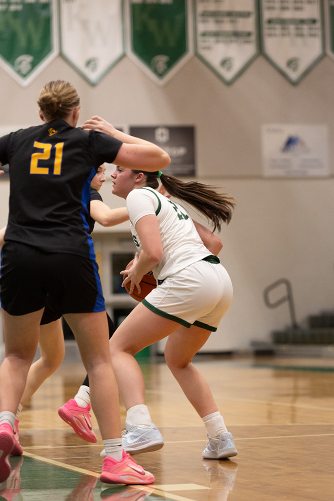 %_tempFileName1M6A5453%