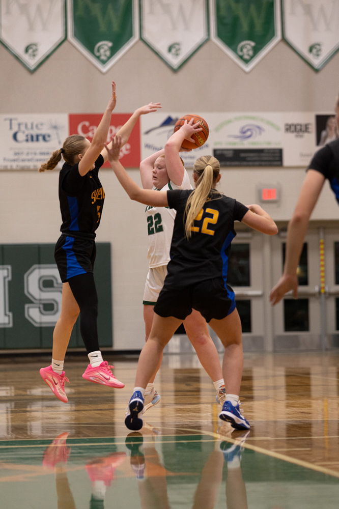 %_tempFileName1M6A5520%