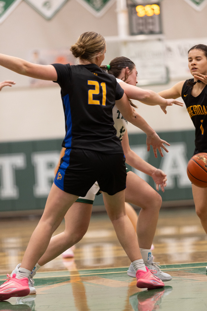 %_tempFileName1M6A5598%