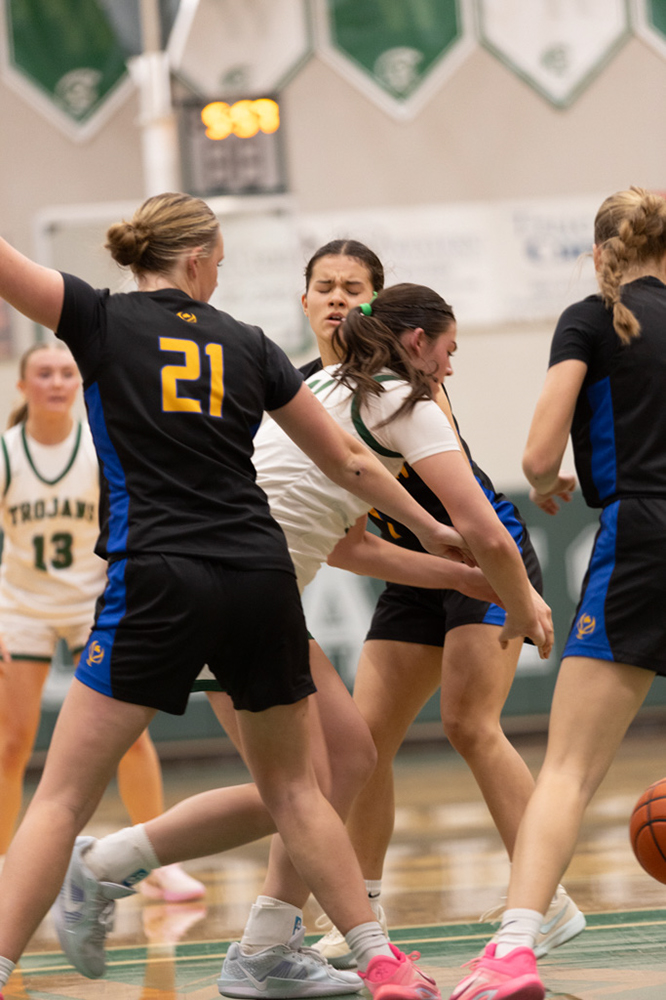 %_tempFileName1M6A5602%