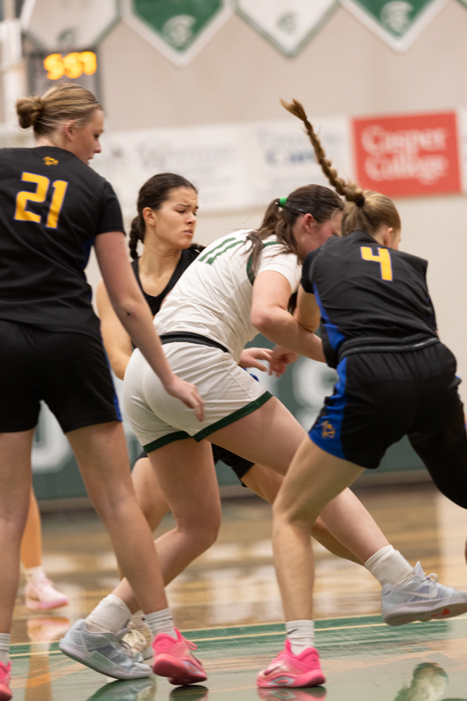 %_tempFileName1M6A5605%