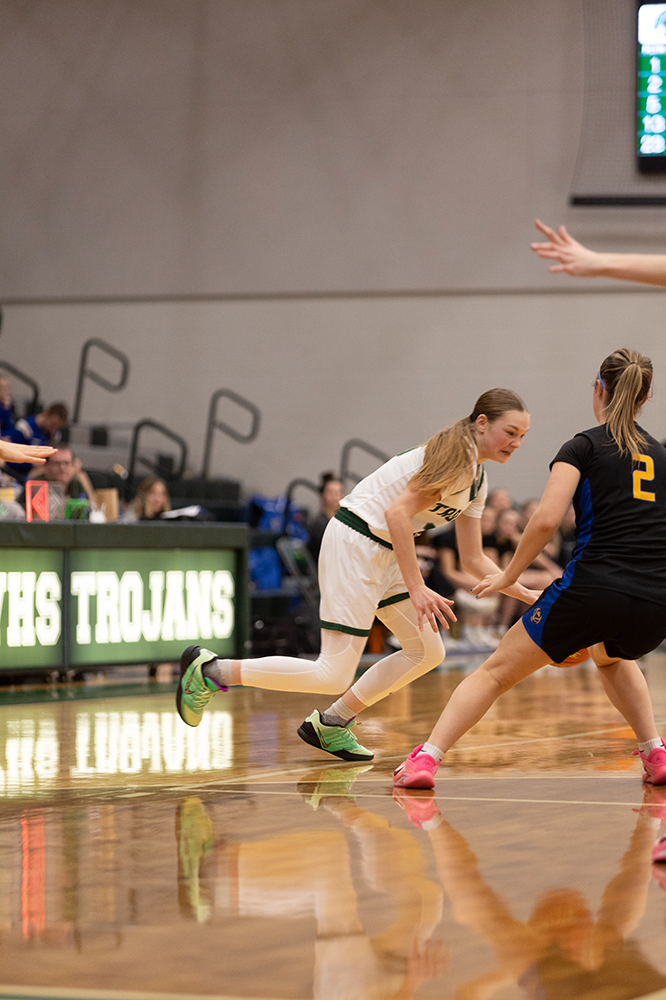 %_tempFileName1M6A5743%