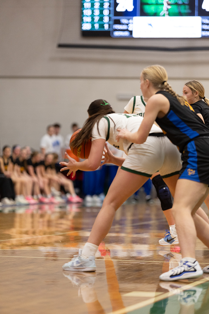 %_tempFileName1M6A5959%