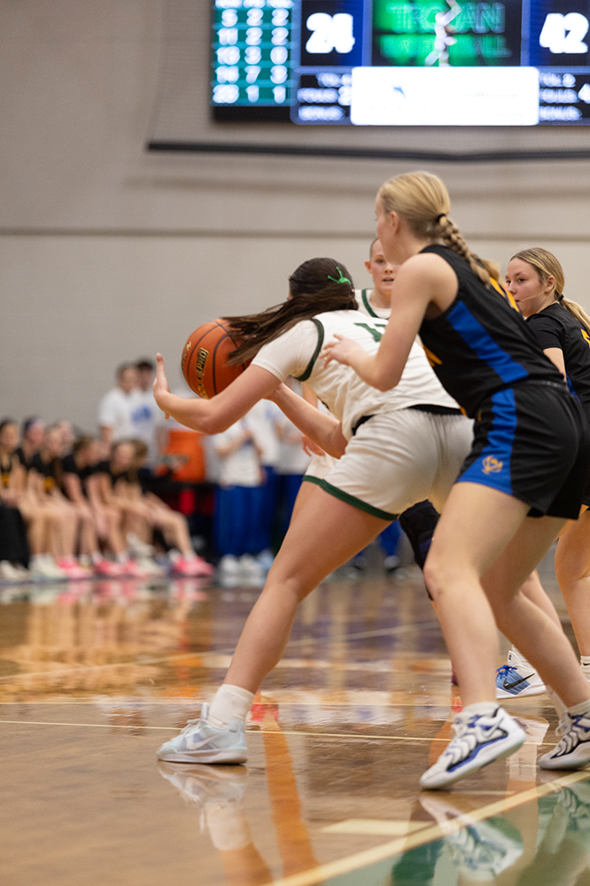 %_tempFileName1M6A5960%