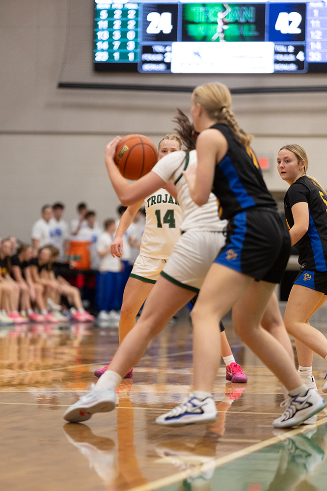 %_tempFileName1M6A5962%