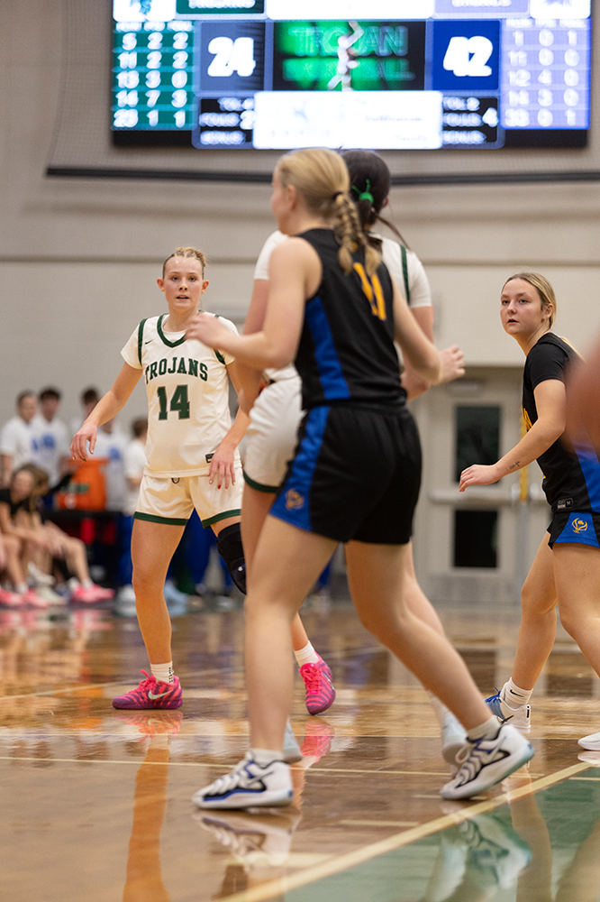 %_tempFileName1M6A5965%